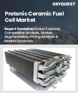 Protonic Ceramic Fuel Cell Market Size, Share, and Growth Analysis, By Type (Alkaline Fuel Cell (AFC), Solid Oxide Fuel Cell (SOFC)), By Applications (Transport, Stationary), By Region - Industry Forecast 2026-2033