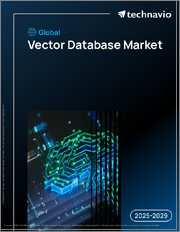 Global Vector Database Market 2025-2029