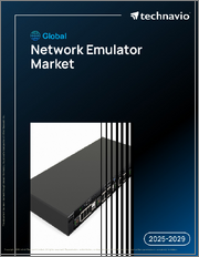 Global Network Emulator Market 2025-2029