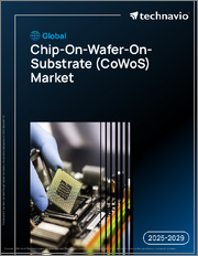 Global Chip-On-Wafer-On-Substrate (COWOS) Market 2025-2029