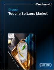 Global Tequila Seltzers Market 2025-2029