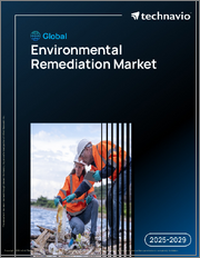 Global Environmental Remediation Market 2025-2029