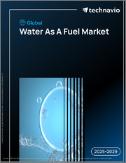 Global Water As A Fuel Market 2025-2029