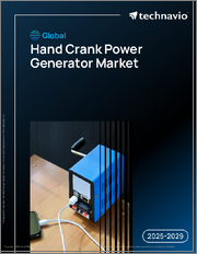 Global Hand Crank Power Generator Market 2025-2029