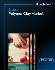 Global Polymer Clay Market 2025-2029