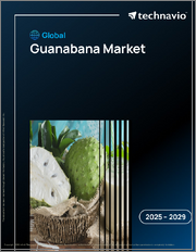 Global Guanabana Market 2025-2029