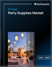 Global Party Supplies Market 2025-2029