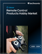 Global Remote Control Products Hobby Market 2025-2029