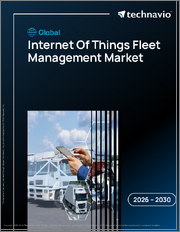 Global Internet Of Things Fleet Management Market 2026-2030