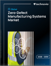 Global Zero-Defect Manufacturing Systems Market 2026-2030