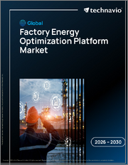 Global Factory Energy Optimization Platform Market 2026-2030