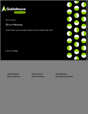Smart Homes - Global Smart Homes Market Analysis and Forecasts: 2025-2034