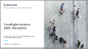 TrendSights Analysis 2025: Retrophilia