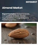 Almond Market Size, Share, and Growth Analysis, By Product Type (Whole Almonds, Almond Kernels), By Processing Type (Raw, Roasted), By Application, By Distribution Channel, By Region - Industry Forecast 2026-2033