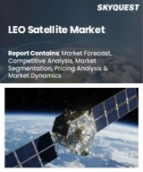 LEO Satellite Market Size, Share, and Growth Analysis, By Satellite Type, By Application, By Component, By End Use, By Deployment, By Region - Industry Forecast 2026-2033