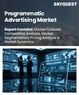 Programmatic Advertising Market Size, Share, and Growth Analysis, By Ad Format (Display Ads, Video Ads), By Platform (Desktop, Mobile), By Auction Type, By End Use Industry, By Deployment Channel, By Region - Industry Forecast 2026-2033
