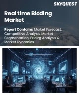 Real time Bidding Market Size, Share, and Growth Analysis, By Auction Type (Open Auction, Private Auction), By Advertisement Format (Display Ads, Video Ads), By Device Type, By Application, By Region - Industry Forecast 2026-2033