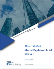 Global Explainable AI Market