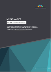 표지：맥신(MXene) 시장 : 유형별, 제조 방법별, 형태별, 업계별, 지역별 - 예측(-2032년)