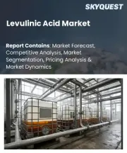 Levulinic Acid Market Size, Share, and Growth Analysis, By Production Process (Hydrolysis Process, Biofine Process), By Application (Food Additives, Pharmaceuticals), By Region - Industry Forecast 2026-2033