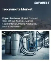 Isocyanate Market Size, Share, and Growth Analysis, By Type (Aromatic, Aliphatic), By Application (Rigid Foam, Flexible Foam), By End-user Industry, By Region - Industry Forecast 2026-2033