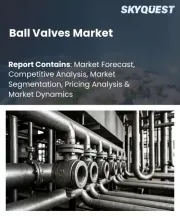 Ball Valves Market Size, Share, and Growth Analysis, By Product Type, By Material Type, By End-Use Industry, By Operation Type, By Size, By Region - Industry Forecast 2026-2033