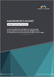 Nanorobotics Market by Type (Nano-manipulator, Nanorobotic System), Deployment (In-vivo, In-vitro/Ex-vivo, Others), Technology (Magnetic Actuation, Biohybrid/Biological Propulsion, Acoustic/Ultrasound Propulsion, Others)-Global Forecast to 2032