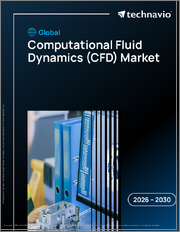 Global Computational Fluid Dynamics (CFD) Market 2026-2030