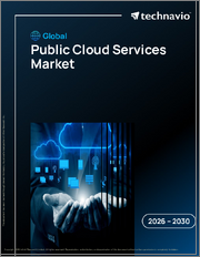 Global Public Cloud Services Market 2026-2030