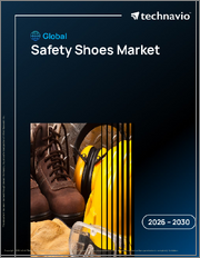 Global Safety Shoes Market 2026-2030