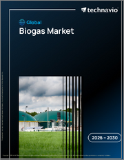 Global Biogas Market 2026-2030