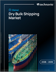 Global Dry Bulk Shipping Market 2026-2030