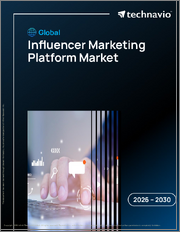 Global Influencer Marketing Platform Market 2026-2030