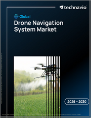 Global Drone Navigation System Market 2026-2030