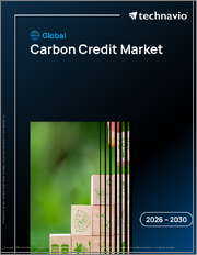 Global Carbon Credit Market 2026-2030