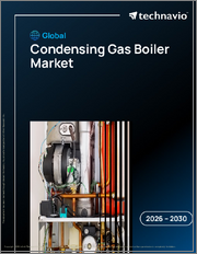 Global Condensing Gas Boiler Market 2026-2030