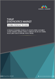 표지： 조직 진단 시장 : 제품 및 서비스별, 기술별, 질병 유형별, 샘플 유형별, 최종 사용자별, 지역별 예측(-2030년)