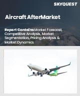 Aircraft Market Size, Share, and Growth Analysis, By Service Sector, By Aircraft Type & Architecture, By Propulsion System, By Application, By Ownership Model, By Region - Industry Forecast 2026-2033