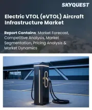 Electric VTOL Aircraft Infrastructure Market Size, Share, and Growth Analysis, By Infrastructure Type, By Charging Infrastructure, By Application, By End User, By Region - Industry Forecast 2026-2033
