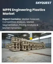MPPE Engineering Plastics Market Size, Share, and Growth Analysis, By Product Type, By Formulation Type, By Application, By End-User Industry, By Region - Industry Forecast 2026-2033
