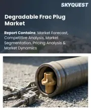 Degradable Frac Plug Market Size, Share, and Growth Analysis, By Plug Type (Fully Degradable Frac Plugs, Partially Degradable Frac Plugs), By Material (Biodegradable, Bioresorbable), By Application, By End User, By Region - Industry Forecast 2026-2033