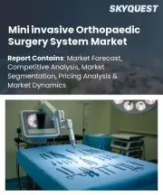 Mini invasive Orthopaedic Surgery System Market Size, Share, and Growth Analysis, By Product Type (Surgical Navigation Systems, Endoscopic & Arthroscopic Instruments), By Procedure Type, By End-User, By Region - Industry Forecast 2026-2033