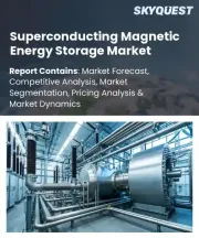 Superconducting Magnetic Energy Storage Market Size, Share, and Growth Analysis, By Type (Low-Temperature, High-Temperature), By Application (Power Systems, Industrial Use), By Region - Industry Forecast 2026-2033