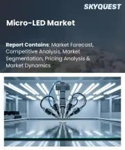 Micro-LED Market Size, Share, and Growth Analysis, By Application (Display, Lighting), By Display Pixel Density (Less than 3,000 ppi, 3,000 ppi to 5,000 ppi), By End Use, By Region - Industry Forecast 2026-2033