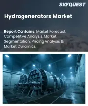 Hydrogenerators Market Size, Share, and Growth Analysis, By Type, By Application, By Power/Capacity, By Installation, By End-User, By Region - Industry Forecast 2026-2033