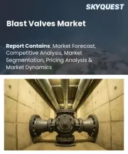 Blast Valves Market Size, Share, and Growth Analysis, By Product Type, By Material, By End Connection, By Application, By End-Use Industry, By Distribution Channel, By Region - Industry Forecast 2026-2033