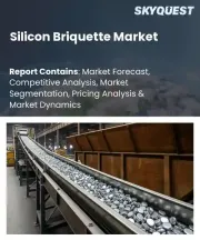 Silicon Briquette Market Size, Share, and Growth Analysis, By Product Type, By Grade, By Form Factor, By Material, By End Use Industry, By Distribution Channel, By Region - Industry Forecast 2026-2033