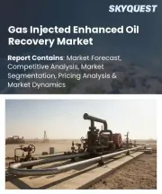 Gas Injected Enhanced Oil Recovery Market Size, Share, and Growth Analysis, By Method, By Reservoir Depth, By Deployment Strategy, By Application, By End User, By Region - Industry Forecast 2026-2033
