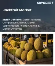 Jackfruit Market Size, Share, and Growth Analysis, By Variety (Cheena, Golden Pillow), By Application (Fresh Consumption, Beverages), By Distribution Channel, By Region - Industry Forecast 2026-2033