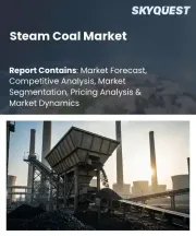Steam Coal Market Size, Share, and Growth Analysis, By Calorific Value, By Volatility, By Industry Applications, By Region - Industry Forecast 2026-2033